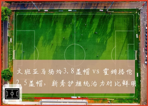 文班亚马场均3.8盖帽 vs 霍姆格伦2.5盖帽，新秀护框统治力对比鲜明