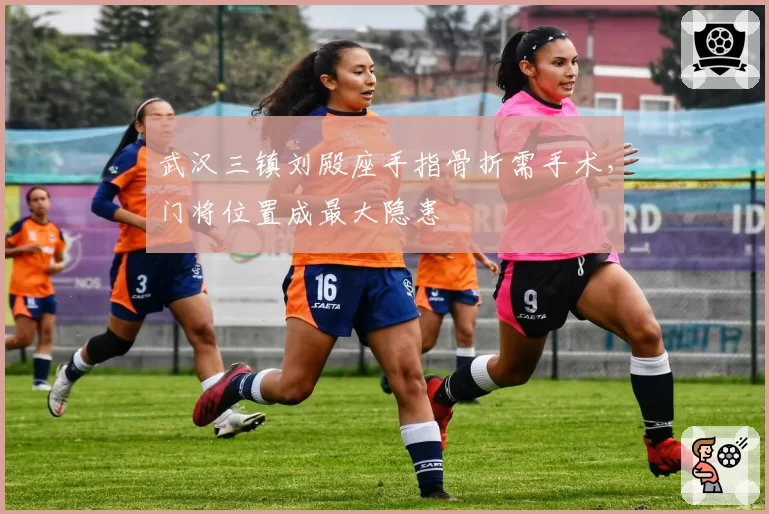 武汉三镇刘殿座手指骨折需手术,门将位置成最大隐患